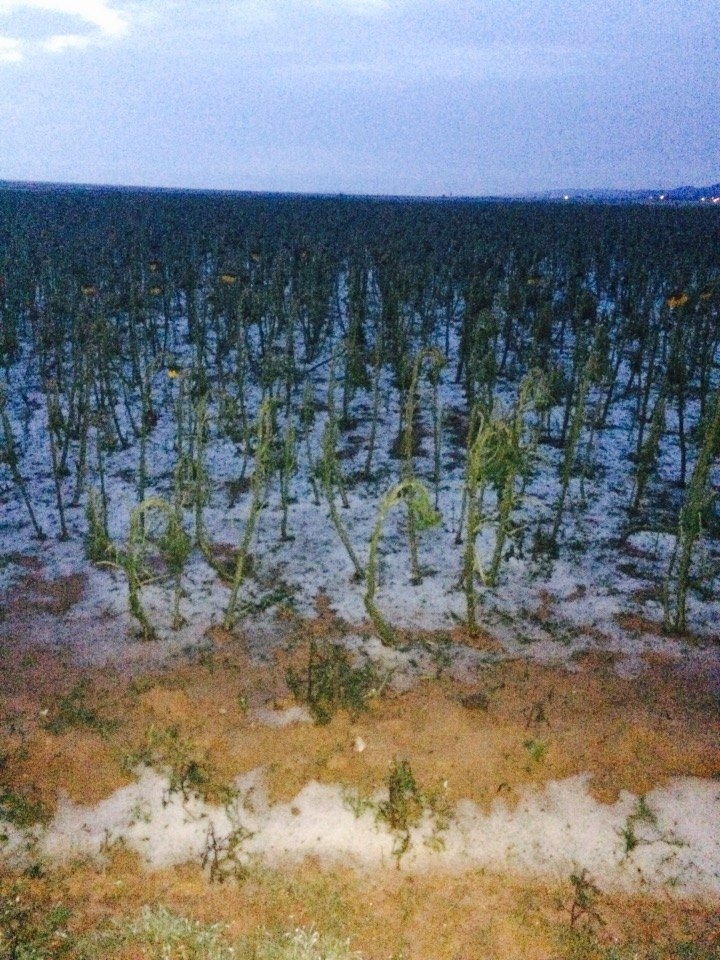 Aksaray'ı dolu vurmaya devam ediyor galerisi resim 7