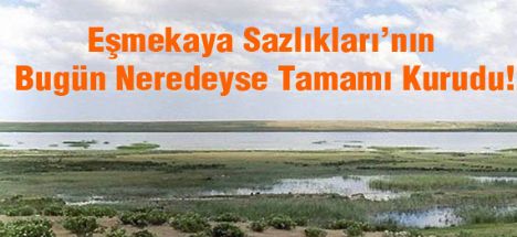 Eşmekaya Sazlıkları'nın Bugün Neredeyse Tamamı Kurudu!