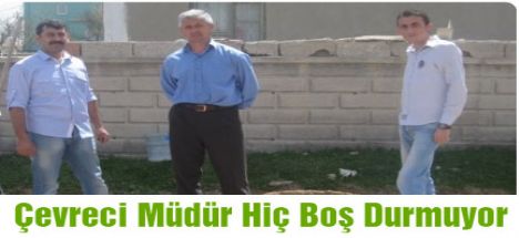 Bozcamahmut'ta  Ağaçlandırma Son Surat