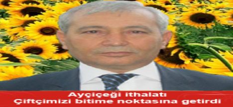 Talaşlı;Ayçiçeği İthalat'ı Çiftçimizi bitirdi