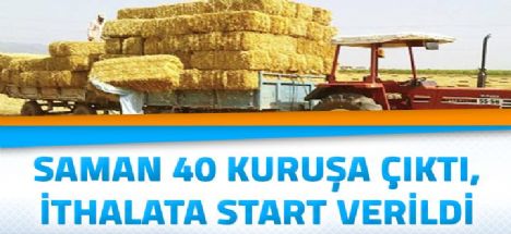 Saman 40 Kuruşa çıktı, İthalata start verildi