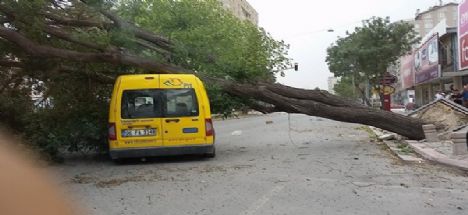 Şiddetli fırtına korkuttu