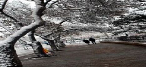 Konya'da 5 gün hava nasıl olacak