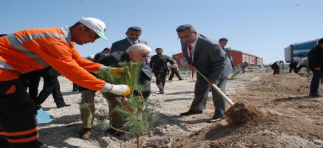 Emekliler Aykent'te Fidan Dikti