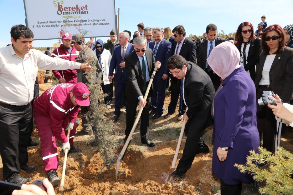 Fidanlar ‘Bereket Ormanları’ İçin Dikildi