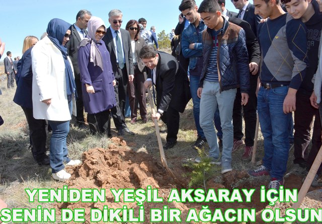 Yeşil bir aksaray için 80 bin fidan toprakla buluşuyor