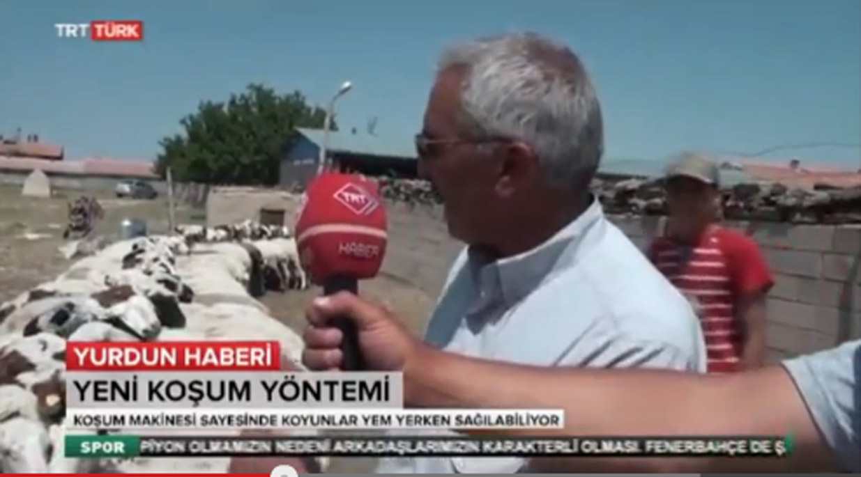 Böğet köyü "Koyun koşumu" TRT haber de