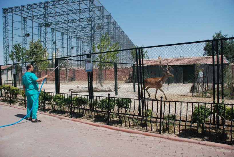 Karatay Belediyesi Hayvanat Bahçesinde Hayvanlar Fıskiye İle Serinletiliyor