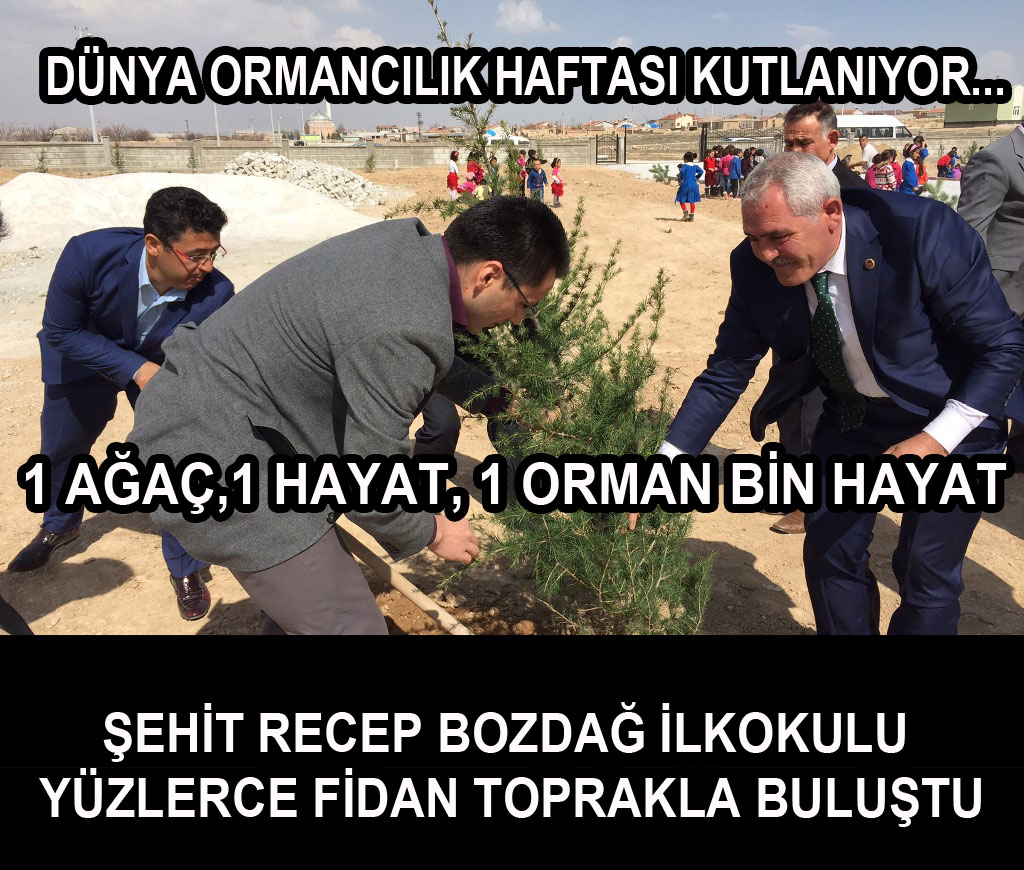 Orman Haftasında Şehit Recep Bozdağ İlkokulu Ağaçlandırıldı