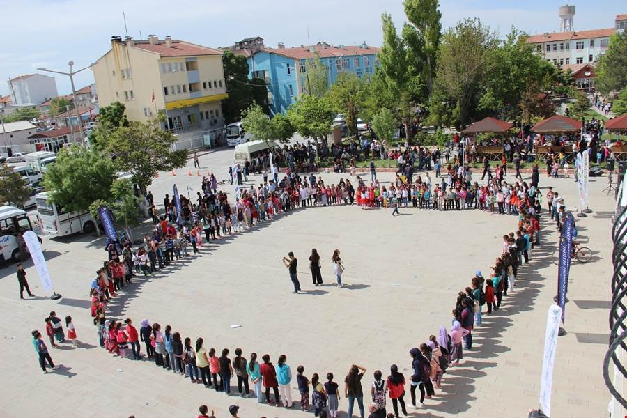 Sinemasal Festivali Eskil’de Yapıldı