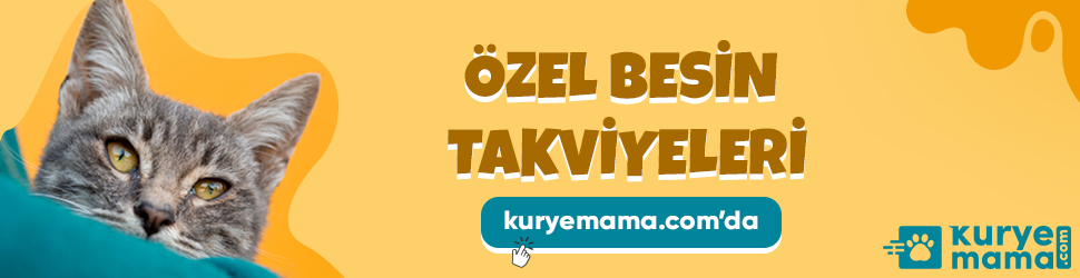 Evcil Pet Shop Marka ürünleri ile ND Kedi Köpek Mamalarını Güvenli Alışveriş