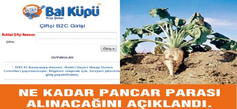 Kim ne kadar pancar parası alacak?