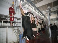 Vatandaşlar Kesim İçin 130 TL Ödeyecek