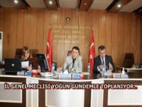 Aksaray il genel meclisi yoğun gündemle toplanıyor.