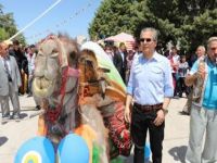 Aksaray'da araba fiyatına Deve