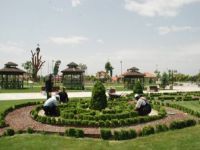 Karatay'ın Parklarını Mevsimlik Çiçekler Süslüyor
