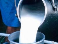 Süt ve Süt Ürünleri Üretimi, Haziran 2014