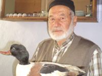 Kuşları mumyalayarak saklıyor