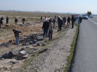 Aksaray Ticaret Borsası’nın Ağaçlandırma Projesi Devam Ediyor