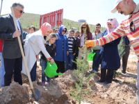 Vali Şeref Ataklı yetimlerle birlikte fidan dikti