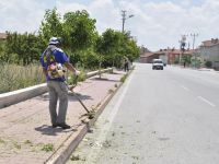 Karatay’da Yabani Ot Temizliği