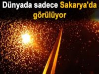 Dünyada sadece Sakarya'da görülüyor