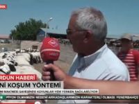 Böğet köyü "Koyun koşumu" TRT haber de