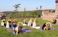 Doktor'dan Meslektaşlarına Özel Yoga Eğitimi