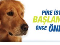 Pire ve Kenelere Son!