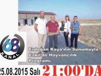 Eskil'de Hayvancılık Programı Bu Akşam Kanal 68 Ekranlarında
