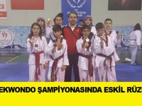 İl Taekwondo şampiyonasında Eskil rüzgârı!