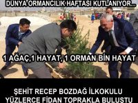 Orman Haftasında Şehit Recep Bozdağ İlkokulu Ağaçlandırıldı