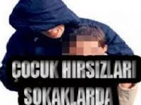 Eskil’de Çocuk Kaçırma Girişimi