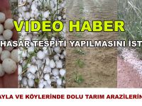 Eskil Yayla ve Köylerini Dolu vurdu, “Tarım arazilerinde hasar büyük!”