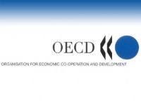 OECD'nin en büyüğü Türkiye