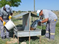 Karatay Belediyesi Sokak Hayvanlarını Unutmuyor